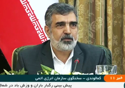 چرخه تولید کیک زرد در مجتمع صنعتی شهید رضایی‌نژاد اردکان + فیلم