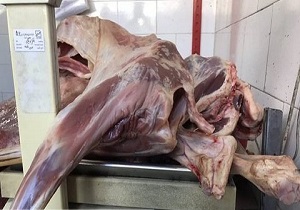 جمع آوری سالانه ۵۰۰ هزار کیلوگرم فرآورده گوشتی فاسد در استان اصفهان