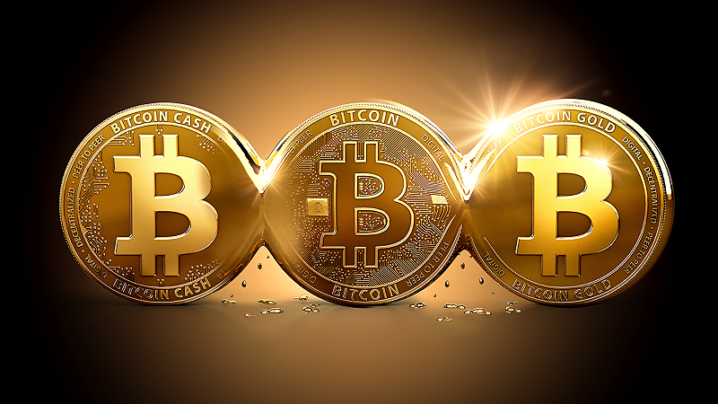 بیت کوین درخت طلای پینوکیو / مردم وارد خرید و فروش نشوند