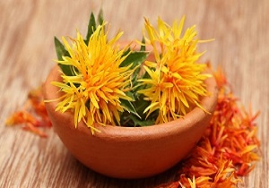 بزرگترین کلکسیون گلرنگ زراعی خاورمیانه در کرمانشاه