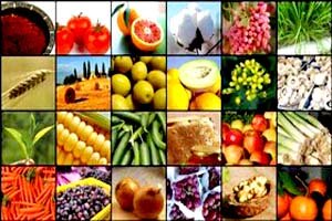 کرمانشاه آنقدر جای کار دارد که آمار بیکاری شهرستان را به صفر برساند