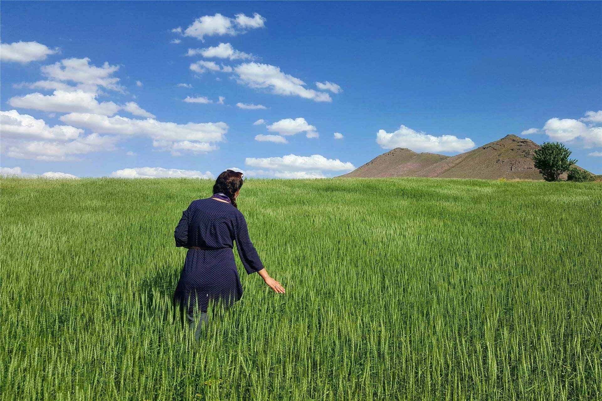 نکته&zwnj;هایی کلیدی برای عکاسی در فصل تابستان