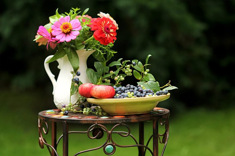 نکته&zwnj;هایی کلیدی برای عکاسی در فصل تابستان