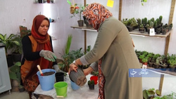 کار آفرینی زن گلستانی با یک دست معلول + فیلم