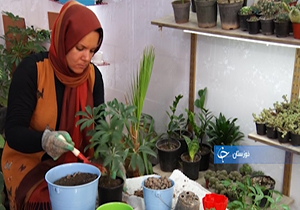 از ایده جذاب یک بانو تا طعم شیرین کارآفرینی با درآمد زیاد + فیلم