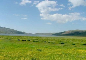احیای ۲۰ درصد از مراتع چهارمحال و بختیاری