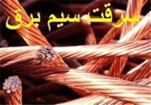 دستگیری سارق سیم و کابل برق در جویبار