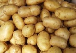 کسری در بازار سیب زمینی نداریم/ باید سیاست‌های صادراتی را اصلاح کنیم