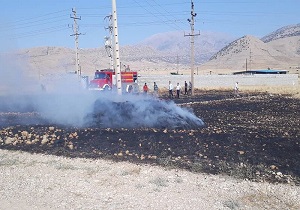 مهار آتش سوزی در مزرعه جو دانشگاه آزاد شهرکرد