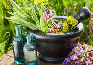 برگزاری نخستین همایش ملی تغذیه و مسائل زیست محیطی گیاهان دارویی و معطر