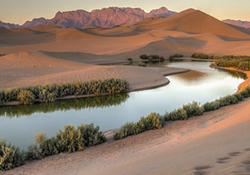 خودرویی عجیب که شما را از ترافیک نجات می‌دهد + فیلم