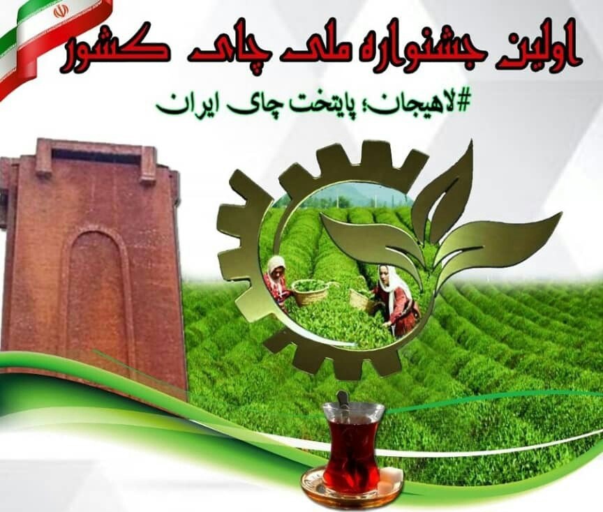 نخستین جشنواره چای کشور امروز در لاهیجان برگزار می‌شود