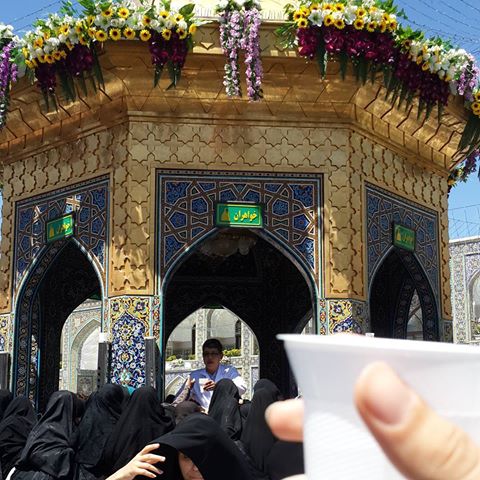 گلچینی از بهترین تصاویر حرم امام رضا (ع)