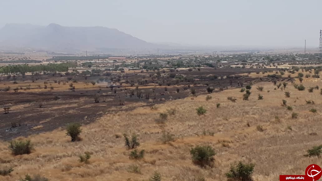 آتش سوزی در مزارع ارم دشتستان مهار شد