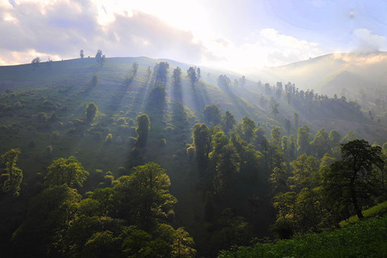 تابستان&zwnj;گردی در طبیعت زیبای ماسال