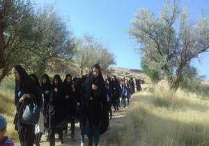 برگزاری همایش پیاده روی خانوادگی در گوجان