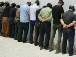 دستگیری سارقان و مواد فروشان /دستگیری سارق حرفه ای / کشف  گردوی قاچاق