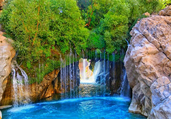 حمله ملخ‌ها به کراچی + فیلم