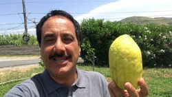 خودرویی عجیب که شما را از ترافیک نجات می‌دهد + فیلم