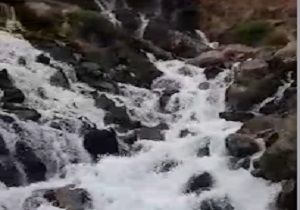 چشمه زیبای «خارود» در الموت غربی قزوین + فیلم