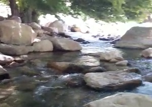 نمایی از طبیعت چشم‌نواز در نورآبادممسنی + فیلم