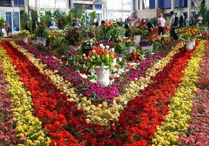 تعهد ۶۰ هکتاری استان برای توسعه کشت گلخانه‌ای