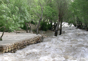 پیش بینی وزش باد و وقوع گرد و غبار