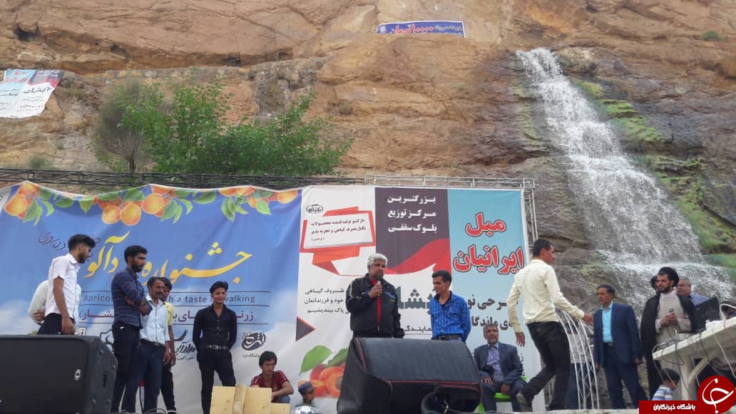 دومین جشنواره زردآلو با طعم پیاده روی + تصاویر