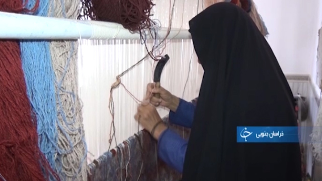 پولسازی یک زن سرپست خانوار از نعمتی خدادادی تا کشت مکانیزه، نجات بخش سود شالیکار و سلامت محصول +فیلم