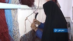 پولسازی یک زن سرپست خانوار از نعمتی خدادادی تا کشت مکانیزه، نجات بخش سود شالیکار و سلامت محصول +فیلم