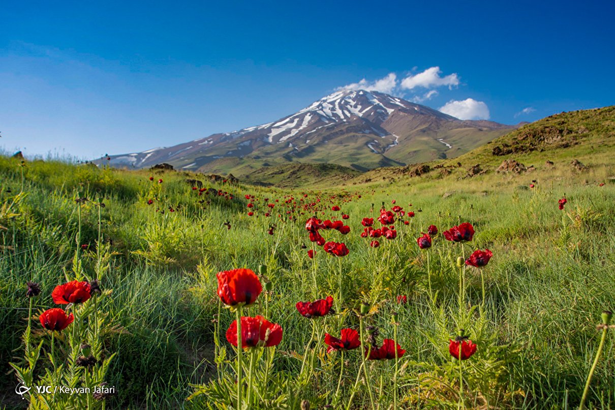 ایرانِ ما؛ دماوند