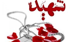 یک پاسدار در سروآباد به شهادت رسید