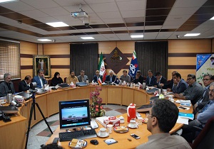 باید با اقتصاد پنهان و عرضه خارج از شبکه سوخت برخورد کرد