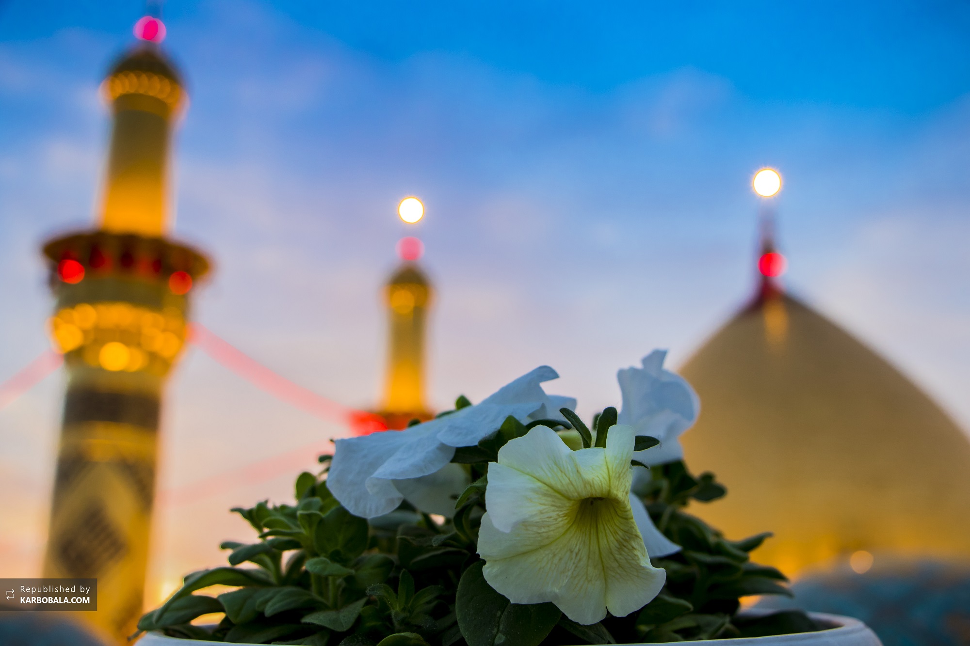 کربلای معلی