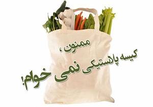 ۲۱ تیرماه روز جهانی نه به پلاستیک