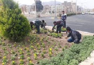 واگذاری بخشی از خدمات پارکها به شهرداری های مناطق