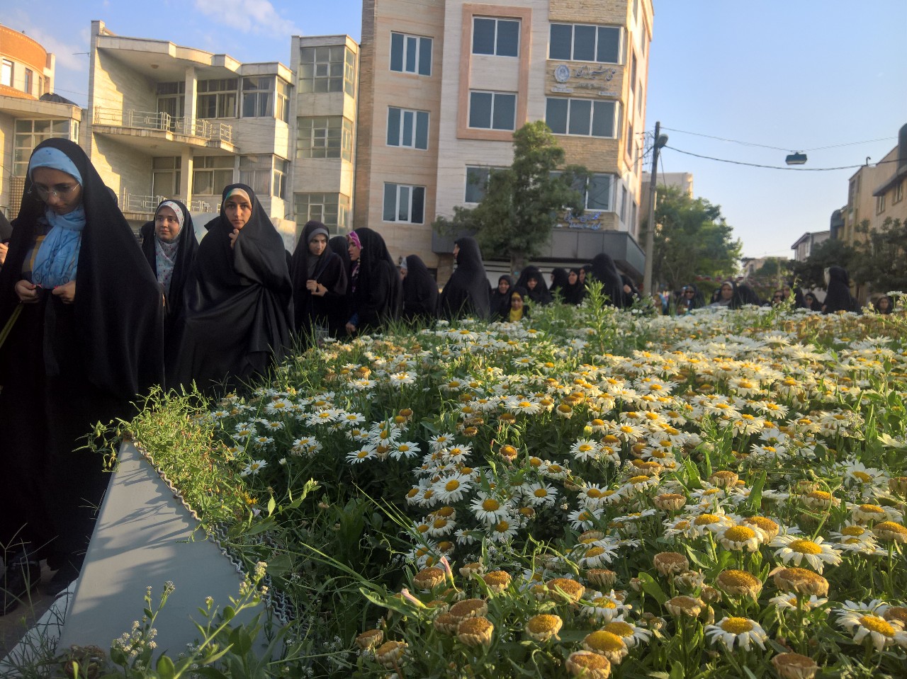 مشکی آرام من