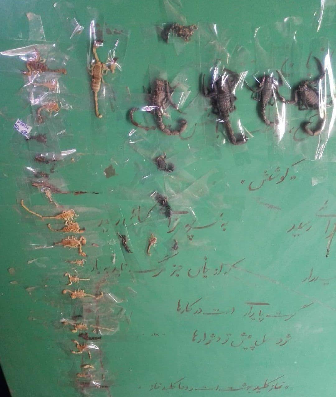 حقیقتی وحشتناک درباره مدرسهای در ایذه + عکس حقیقتی وحشتناک درباره مدرسهای در ایذه + عکس
