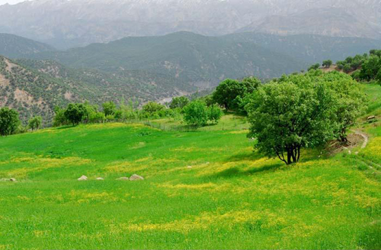 آب و هوایی خنک در سرزمین برف، آب و آفتاب