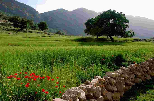آب و هوایی خنک در سرزمین برف، آب و آفتاب