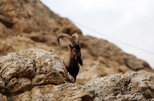 آب و هوایی خنک در سرزمین برف، آب و آفتاب