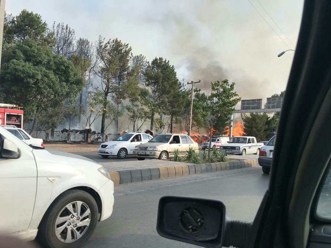 درختان بلوار ذغالسنگ در آتش سوختند/آتش سهل انگاری بر جان مراتع راین کرمان