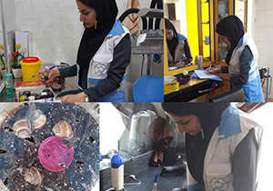 فعالیت غیرمجاز حلزون درمانی در یکی از آرایشگاه های زنانه زرقان