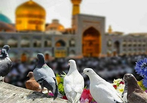 نمایشگاه عکس از بهشت تا بهشت در قم گشایش یافت