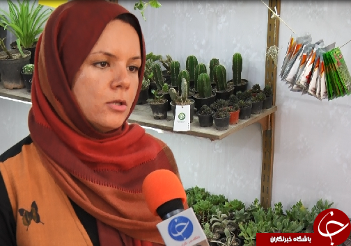 کافه گلخونه، مکانی برای رسیدن به آرامش در زندگی پر التهاب شهری+فیلم