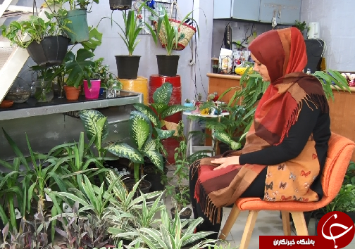 کافه گلخونه، مکانی برای رسیدن به آرامش در زندگی پر التهاب شهری+فیلم