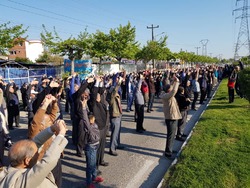 چالش پیاده رویی عمومی شهر ایلام برگزار شد