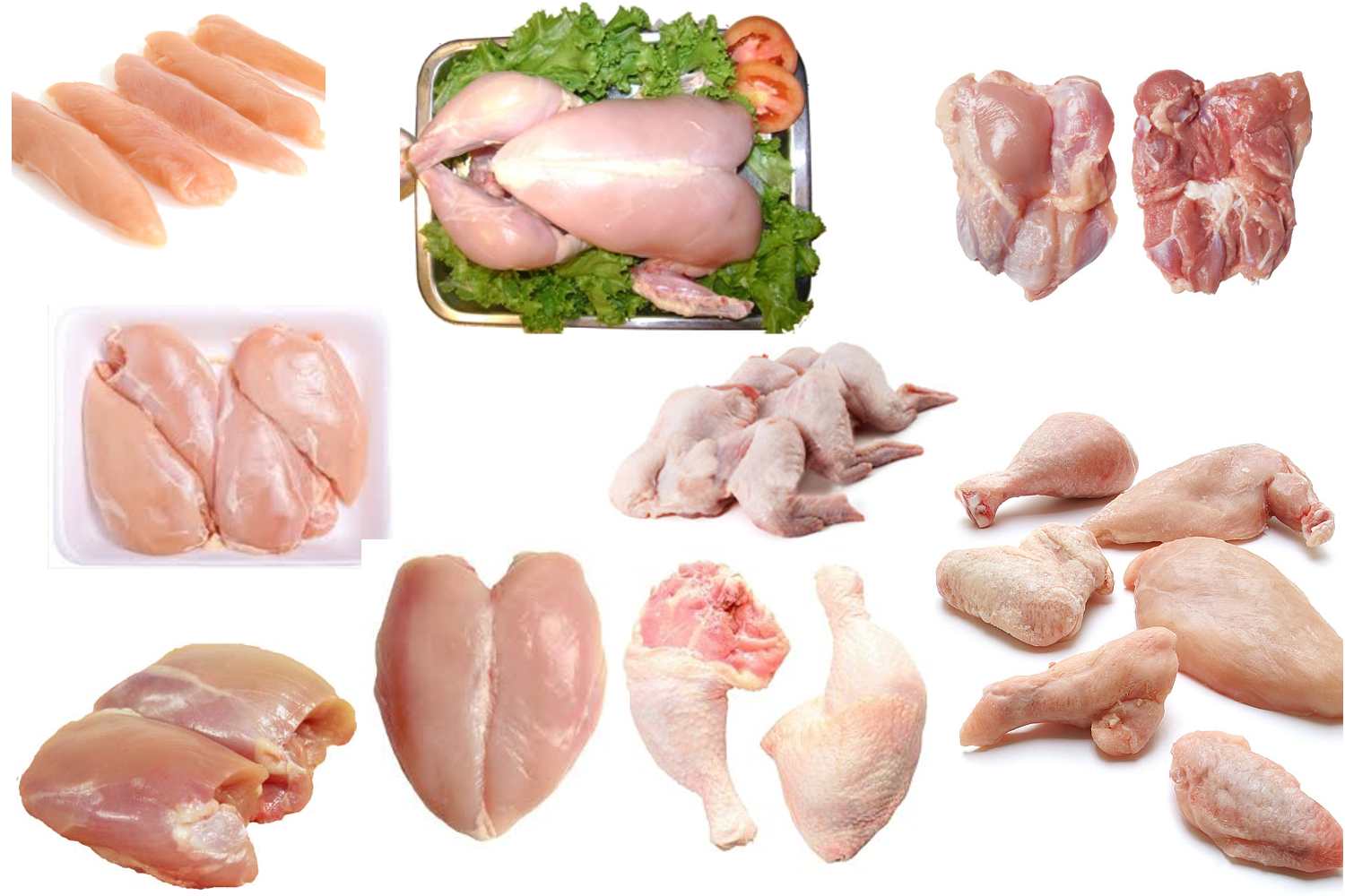 انواع گوشت قطعه بندی و بسته بندی  مرغ چند ؟ + قیمت