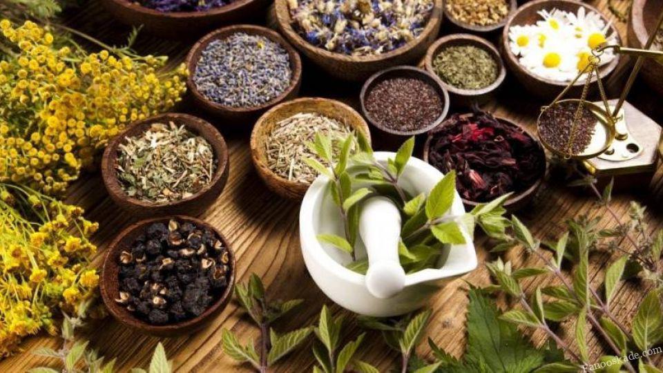 چالش واردات قاچاق برخی ادویه&zwnj;های مشهور به کشور/ چگونه داروهای گیاهی با کیفیت را بشناسیم؟