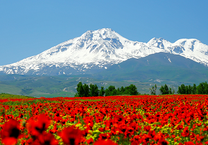 کارگروه ویژه ثبت جهانی کوه سبلان تشکیل شد